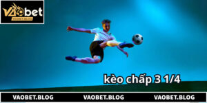 Bí Quyết Đọc Vị Kèo Bóng Đá Tài Xỉu 3 1/4 Trái Luôn Thắng