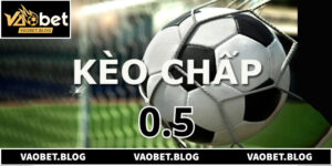 Bí Quyết Đọc Vị Kèo Chấp 0.5 Để Gia Tăng Tỷ Lệ Thắng