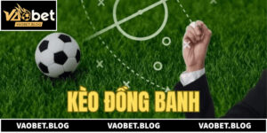 Bí Quyết Soi Kèo Đồng Banh Và Cách Quản Lý Vốn Hiệu Quả